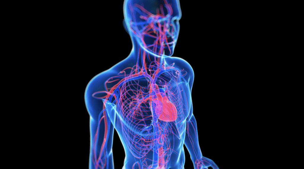 Your Nervous System Is the Foundation of Healing 1 image