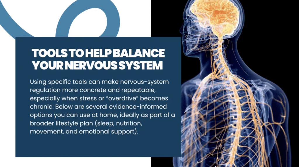 Your Nervous System Is the Foundation of Healing 4 image 3